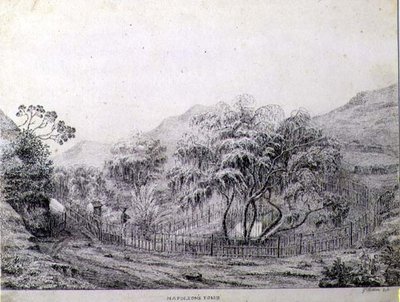 Napoleons Grab auf der Insel St. Helena von Captain G. Rotton