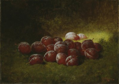Lila Pflaumen, 1895 von Carducius Plantagenet Ream