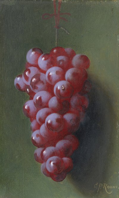 Stillleben mit Trauben von Carducius Plantagenet Ream