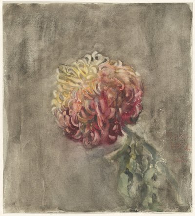 Rote Chrysantheme von Carel Adolph Lion Cachet