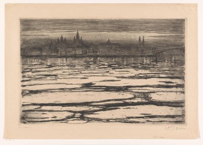 Gleitschirme auf dem Rhein von Carel Nicolaas Storm van 