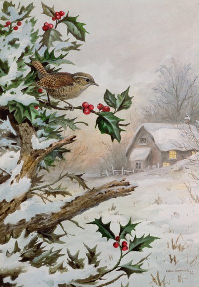Zaunkönig im Stechpalmenbusch bei einem Cottage von Carl Donner