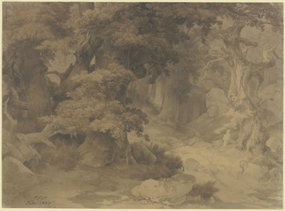  von Carl Friedrich Lessing