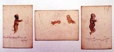 Studie eines Babys für 