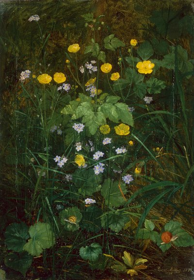 Butterblumen und Vergissmeinnicht auf einem Waldboden von Carl Henrik Koch Moller
