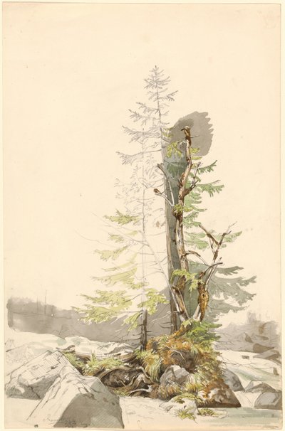  von Carl Morgenstern