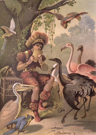 Papageno der Vogelfänger, aus 