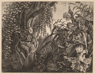 Ein Dickicht; ein knorriger Weidenbaum links, ein Dickicht aus Vegetation rechts von Carl Wilhelm Kolbe