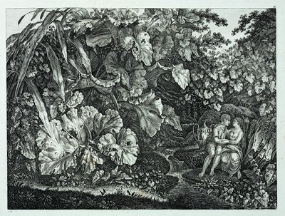 Liebespaar in einer Grotte, umgeben von Pflanzen und Kräutern von Carl Wilhelm Kolbe