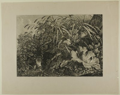 Kuh, die in einem Sumpf steht von Carl Wilhelm Kolbe, the elder