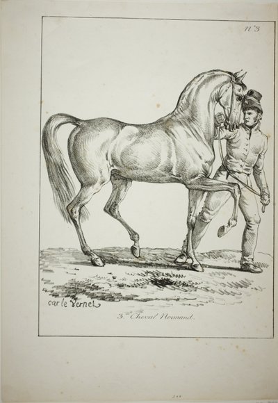 Königliche Garde, normannischer Kavalier, nicht in voller Montur, und Pferd, Nr. 3 von Carle Vernet