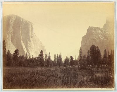 Das Tal hinauf vom Fuß des Mariposa-Pfads, Yosemite, Nr. 9 von Carleton E. Watkins
