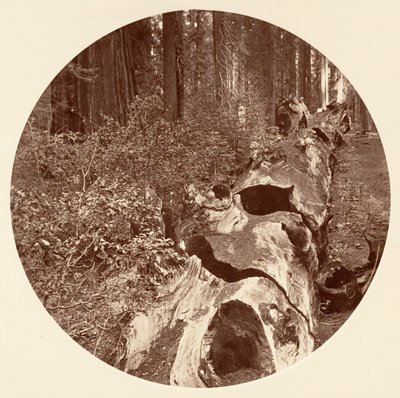 Auld Reckie - C. Grove von Carleton Emmons Watkins
