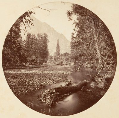 [Yosemite-Nationalpark, Kalifornien] von Carleton Emmons Watkins