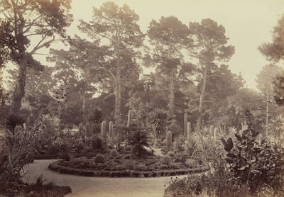 [Arizona-Garten, Hotel del Monte, Monterey] von Carleton Watkins