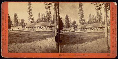 Big Tree Station, Mariposa Grove von Carleton Watkins