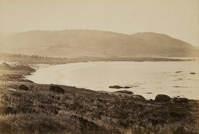 [Küstenansicht, Monterey] von Carleton Watkins