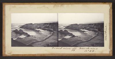 Küstenansicht vor Mendocino von Carleton Watkins