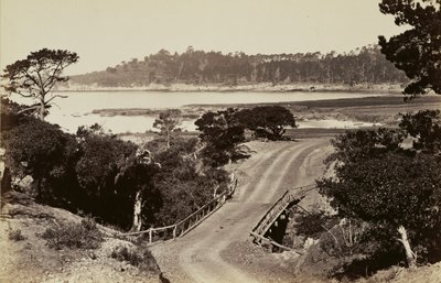 Küstenansicht in der Nähe von Monterey von Carleton Watkins
