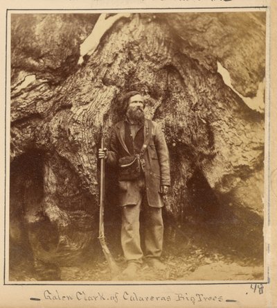 Galen Clark, Esq., Mariposa Grove, Mariposa County, Kalifornien von Carleton Watkins