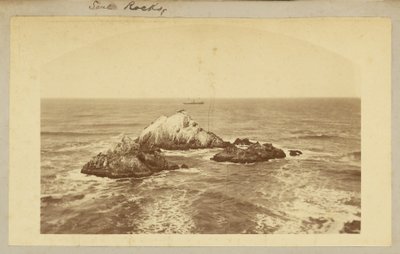 Seal Rocks von Carleton Watkins