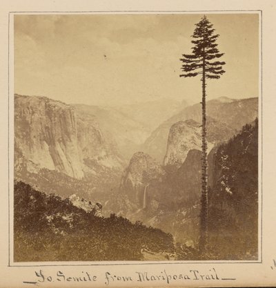Das Yosemite-Tal vom „Best General View“, Mariposa Trail von Carleton Watkins