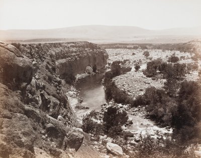 Ohne Titel [Bachlandschaft] von Carleton Watkins