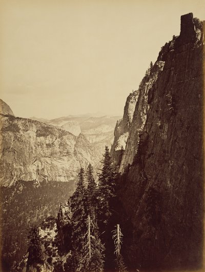 [Blick vom Moran Point] von Carleton Watkins