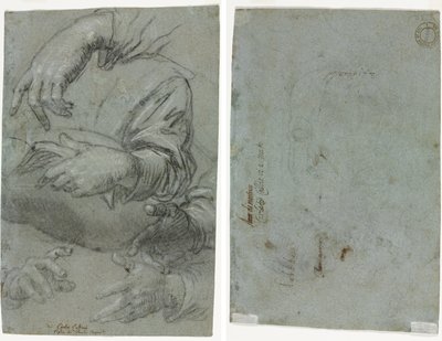 Studien von Händen (recto); Skizze eines Kinderkopfes (verso) von Carletto Caliari