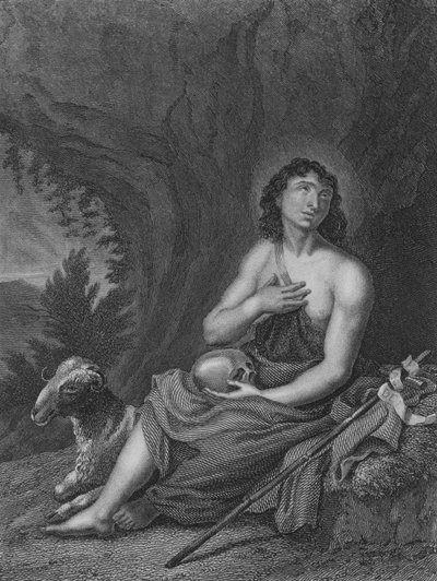 Johannes in der Wüste von Carlo Cignani