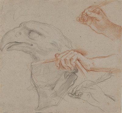 Studie für einen Adlerkopf, drei Studien für eine Hand mit Feder und eine Studie für eine Hand, die ein Buch hält von Carlo Maratti