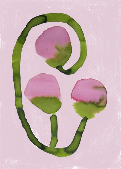 Abstrakte Rosa Blüten von Carola Cedell