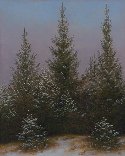 Fichtendickicht im Schnee (Aus der Dresdner Heide I) von Caspar David Friedrich