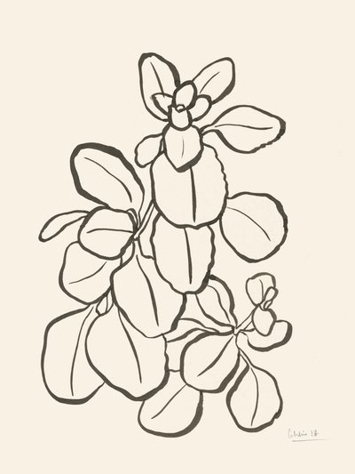 Organische Blattzeichnung von Catalina Somolinos