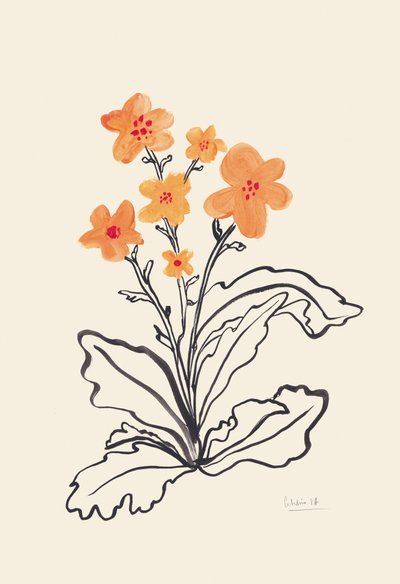 Lebendige orangefarbene Blumen von Catalina Somolinos