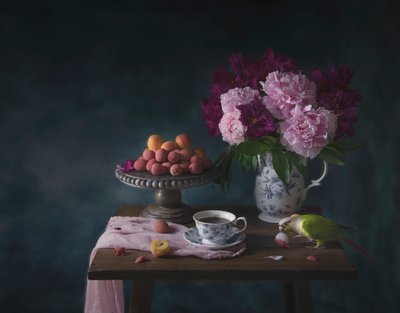 Papageis Tisch Leckerbissen von Catherine Wang