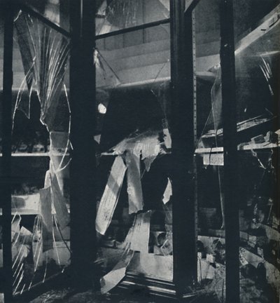 Schaukästen im Naturhistorischen Museum von Cecil Beaton