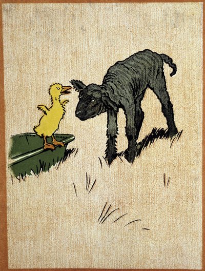 Schwarzes Lamm und Entenküken - Zeichnung von Aldin von Cecil Charles Windsor Aldin