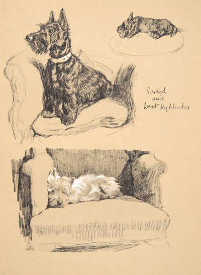 Schotte und West Highlander, 1930, Illustrationen aus seinem Skizzenbuch verwendet für Just Among Friends, Aldin, Cecil Charles Windsor (1870-1935), später veröffentlicht von Eyre und Spottiswoode Limited, 1934 von Cecil Charles Windsor Aldin