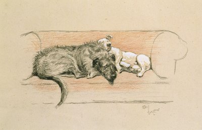 Wolfshund und Bullterrier schlafen auf einem Sofa von Cecil Charles Windsor Aldin