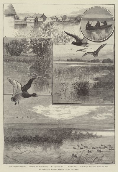 Entenjagd auf Long Point Island, am Eriesee (Gravur) von Charles (after) Whymper