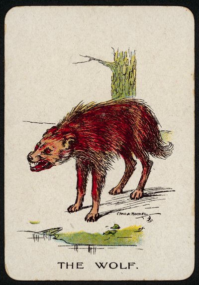 Der Wolf von Charles A. Buchel