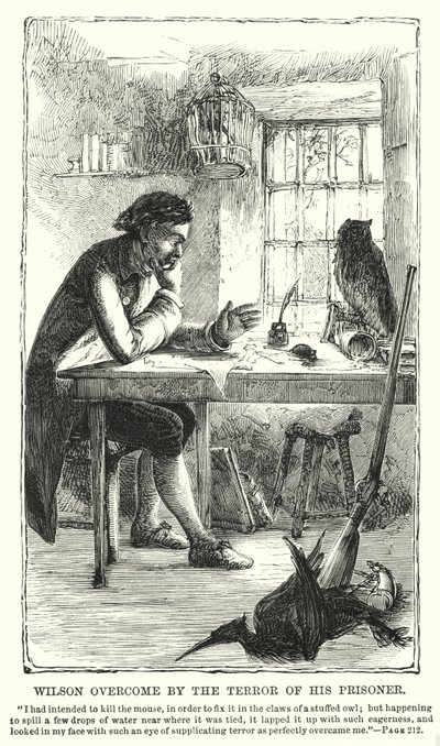 Wilson überwältigt von der Angst seines Gefangenen (Gravur) von Charles Altamont Doyle
