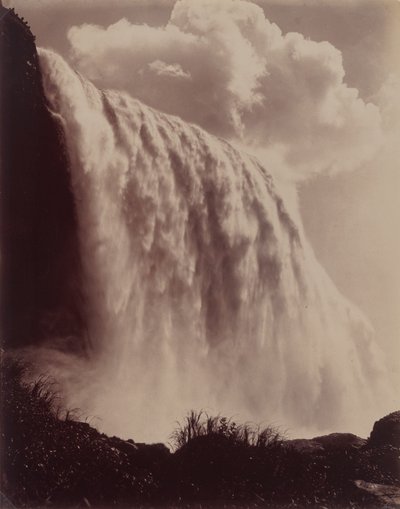 Niagarafälle von Charles Bierstadt