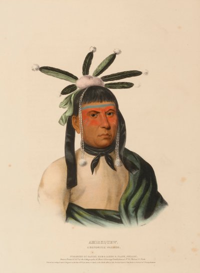 AMISKQUEW. Ein Menominee-Krieger, aus der Geschichte der Indianerstämme Nordamerikas von Charles Bird King