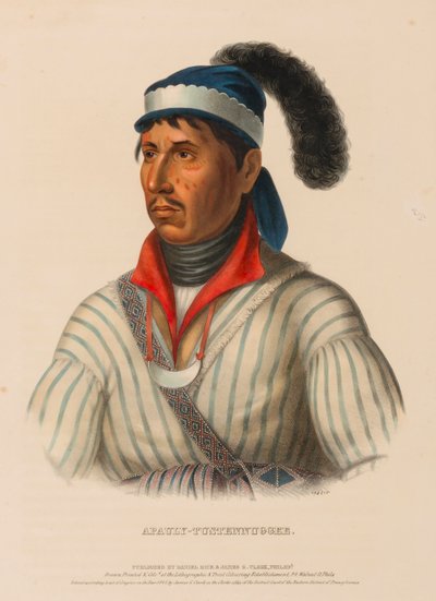 APAULY-TUSTENNUGGEE, aus Geschichte der Indianerstämme Nordamerikas von Charles Bird King