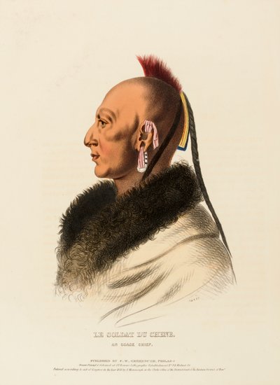 LE SOLDAT DU CHENE, EIN OSAGE-HÄUPTLING, aus der Geschichte der Indianerstämme Nordamerikas von Charles Bird King