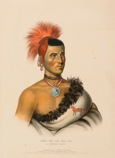 PES-KE-LE-CHA-CO, ein Pawnee-Häuptling, aus der Geschichte der Indianerstämme Nordamerikas von Charles Bird King