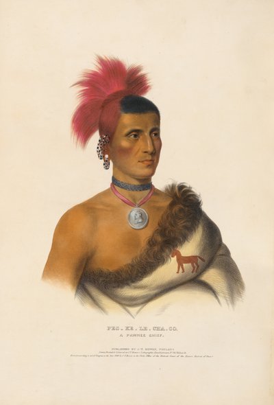Pes-ke-le-cha-co - Ein Pawnee-Häuptling von Charles Bird King