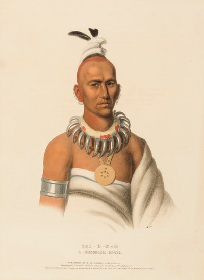 Tai-o-mah. Ein Musquakee-Krieger, aus Geschichte der Indianerstämme Nordamerikas von Charles Bird King